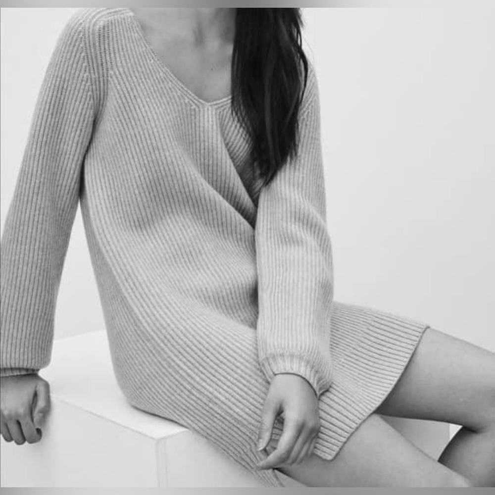 Aritzia Wilfred Free Grace Dress